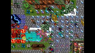 CRAZIEST TIBIA SERVER IN THE WORLD  ONLINE FOR 20 YEARS [upl. by Nnair]