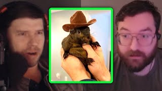 PKA Reacts to Peanut the Squirrel Getting Euthanized by the State of New York [upl. by Bearce147]