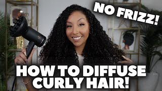 How To Diffuse Curly Hair NO FRIZZ  BiancaReneeToday [upl. by Swagerty940]