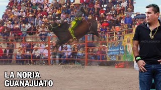 ¡Que locura de Jaripeo 20 DESTRUCTORES DE MEMO OCAMPO EN LA NORIA GUANAJUATO 29 DICIEMBRE  Jaripeo [upl. by Navets]