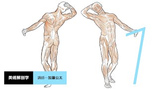 トライアル授業動画「美術解剖学」担当教員：加藤公太 【京都芸術大学 通信教育部 イラストレーションコース】 [upl. by Fern]