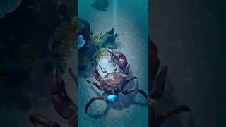 Mech vs BIG CRAB  WHO WINS roguelike indiegames gameplay gametrailers [upl. by Michaud117]