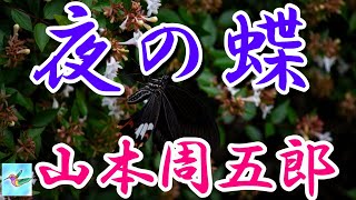 【朗読】夜の蝶 山本周五郎 読み手アリア [upl. by Daugherty]