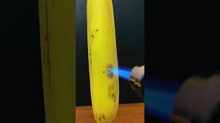 Powerful lighter vs Banana satisfying experiment shortvideo [upl. by Ztnarf830]