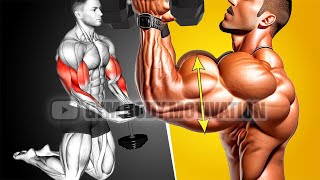 6 Effective Bicep and Tricep Exercises for Bigger Arms [upl. by Tsyhtema]