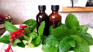 How to make Herbal Tincture [upl. by Inaflahk390]