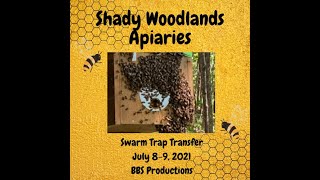 Layens Swarm Trap Transfer on July 89 2021 aka this trap is full o honey bees [upl. by Kieryt837]