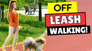 Off Leash Training 7 EASY Tips to Train Your Dog to Walk Off Leash [upl. by Arayk]