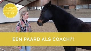 Ik word gecoacht door een paard 🐎 Sanny zoekt Geluk [upl. by Akyssej915]