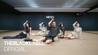 ‘MEOW’ DANCE PRACTICE VIDEO 2 Moving Cam Ver [upl. by Monie789]