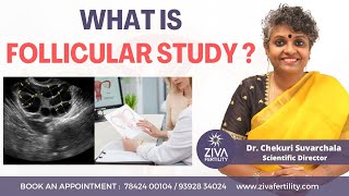 What Is Follicular Study  Fertility Tips  ZIVA Fertility  Dr Chekuri Suvarchala [upl. by Perloff]