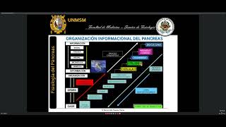 Fisiología Parte 1 Endocrino Páncreas [upl. by Monah888]