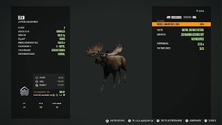 theHunter Call of the Wild Mein erster Diamant [upl. by Eicnarf760]