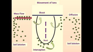 Ag 502 Lecture 8 Movement of Nutrients in soil and their uptake 25 06 2021 [upl. by Ekenna]