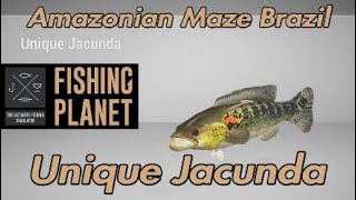 Unique Jacunda  Amazonian Maze Brazil  Fishing Planet Guide [upl. by Aenaj]