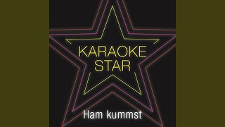 Ham kummst Karaoke Version Originally Performed by Seiler amp Speer [upl. by Niak]