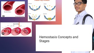 Hemostasis Physiology  Concepts and Mechanisms [upl. by Einaeg]