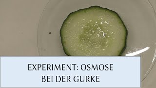 EXPERIMENT OSMOSE BEI GURKEN [upl. by Knuth]