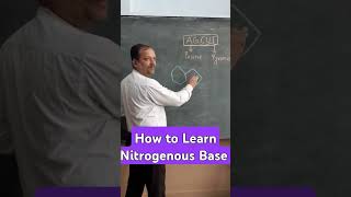 What are Nitrogenous Bases Structure of DNA [upl. by Dira]