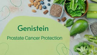 Genistein Prostate Cancer Protection [upl. by Barbarese]