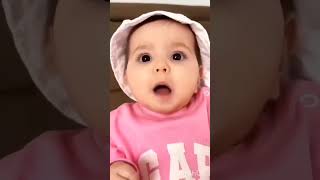 Funny dog 🐶 video🤷😂 cutebaby funny monkey funnydogs funnybaby cutebabyshorts [upl. by Lemahs]