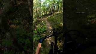 Tree Gap mtb [upl. by Boardman255]