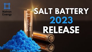 American Company Natron Energy’s New SodiumIon Batteries Shocked China’s Battery Manufacturers [upl. by Randell389]