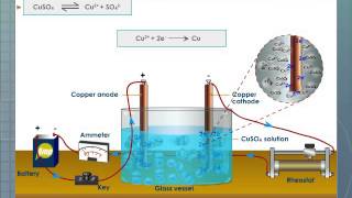 Electrolysis Of Water  Defintion Experiment Observation Working Principle Reactions [upl. by Artenak]