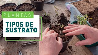 Tipos de sustratos para plantas de interior y exterior  Plantas en VERDECORA [upl. by Miarhpe]