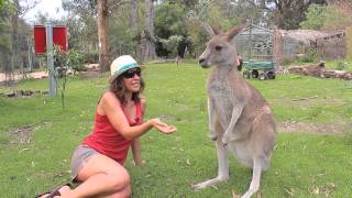 Potoroo Palace Merimbula Review in French from Stephanie by Grasshopper Travel [upl. by Otis]