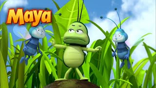 AMAR A LOS BICHOS ESTÁ DE MODA🐛🪲🐝 CAPÍTULOS DE MAYA para niños en ESPAÑOL 🐝 [upl. by Nnomae182]