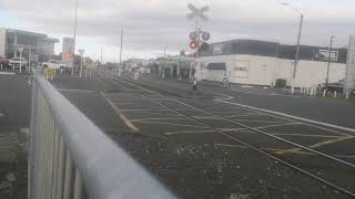 Owen Street level crossing in Napier 4 [upl. by Irotal]