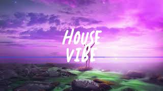 🔥HOUSE VIBE MIX 🔥 James Hype Skrillex Tiesto Tita Lau [upl. by Shererd416]