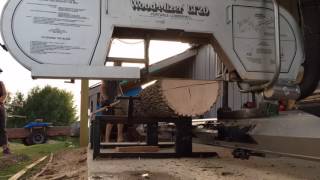 Milling Ash with the Woodmizer LT20 sawmill [upl. by Grania]