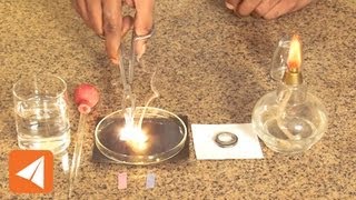 Magnesium Oxide and water Acids amp Bases  Chemistry [upl. by Aseeram]