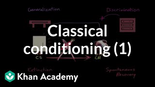 Classical conditioning Extinction spontaneous recovery generalization discrimination [upl. by Bullion]