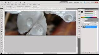 How To Use The Quick Selection Tool In Photoshop CS5mp4 [upl. by Elyrehc]