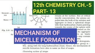 12th Chemistry Ch5Part13Mechanism of micelle formationStudy with Farru [upl. by Hussar]