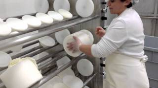 Olmeda Origenes  How is it made the manchego cheese [upl. by Rases]