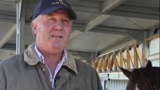 Gary Hennessy Trainer of Ocean Park 2012 Cox Plate Winner [upl. by Hogle344]