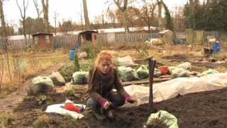 Winter work on the allotment with Alys Fowler [upl. by Hans]