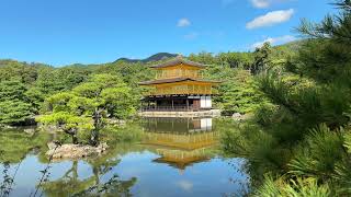 Kinkakuji in reflecting pond [upl. by Acsicnarf]