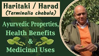 Haritaki  Harad Terminalia chebula  Ayurvedic Properties Health Benefits amp Medicinal Uses [upl. by Rolan]