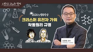 2020년 노벨화학상 크리스퍼 유전자 가위 작동원리 규명김형범 연세대 교수 [upl. by Erait]