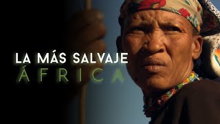 África más salvaje  Sáhara la vida al límite [upl. by Florida]