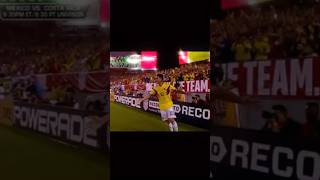 James rodriguez amazing goal vs usa🥵 [upl. by Zackariah870]