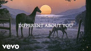 Old Dominion  Different About You Official Lyric Video [upl. by Stew]