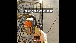 Shopping cart hacking hacktheplanet [upl. by Eivol506]