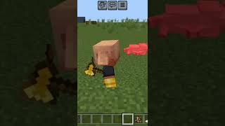 piglin rhute killed my dog I take revenge target 10k views trendingshorts minecraft shortsfeed [upl. by Eleahcim]