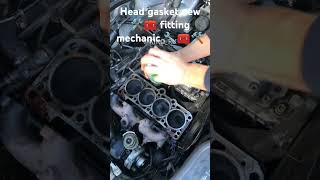 Head gasket new fitting mechanic 🔧🧰🛠️ funnyvodeo businessstartednewspareparts fullspeedhandbrake [upl. by Legnaesoj]